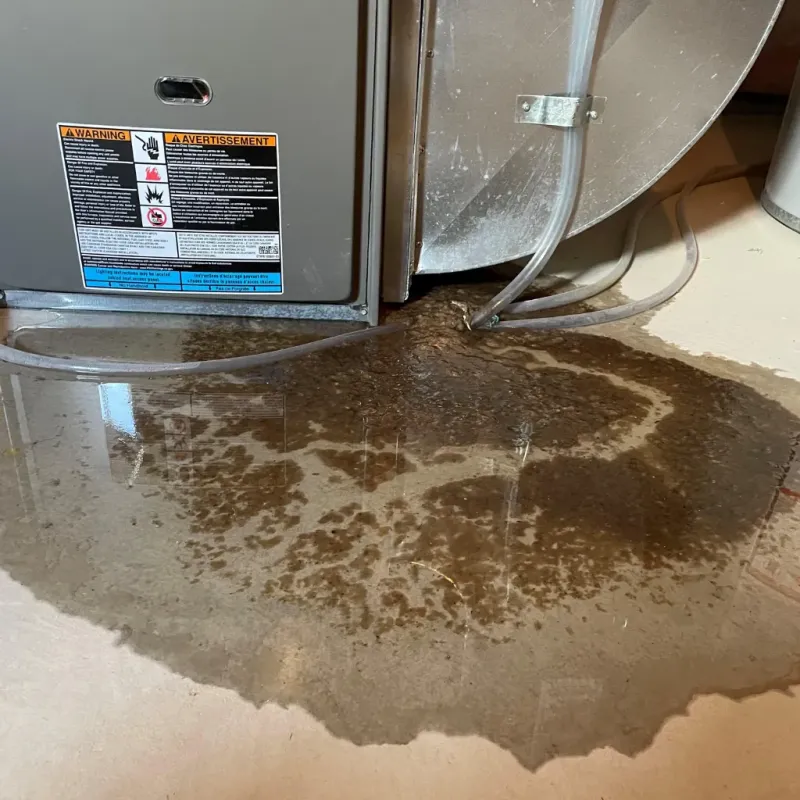 Appliance Leak Cleanup in Mount Horeb, WI